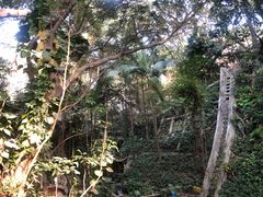 -青青世界