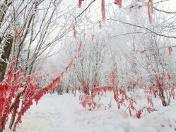-大秃顶子山