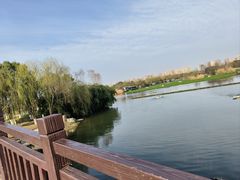 -洋湖国家湿地公园