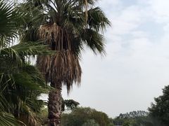 -厦门国家会计学院