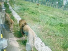 -鄂尔多斯野生动物园