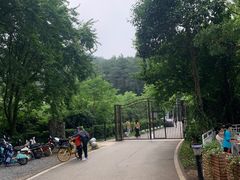 -青龙山国家森林公园