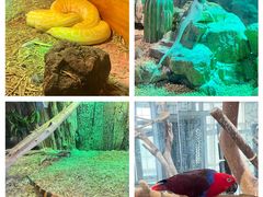 -海合安武汉极地海洋公园