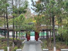 -武汉园博园(武汉自然博物馆)