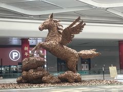 -杭州萧山国际机场