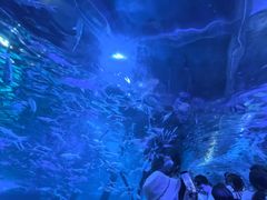-江和美海洋公园