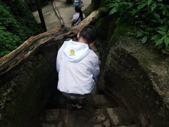 -梦幻奥陶纪景区