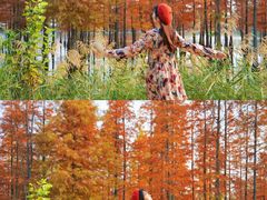 -白鹭湾湿地公园