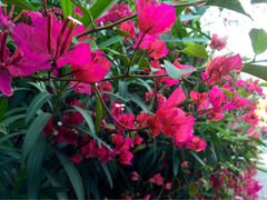 iphone_upload_pic-铁路文化公园