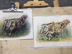 -黑骏画室·深圳美术中高考黄埔军校
