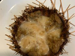 -海胆小馆(东北水饺·春柳店)