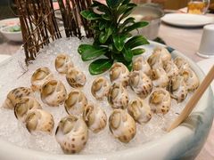 冰镇花螺-阿杜打边炉(五江天街店)