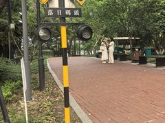-金鸡湖桃花岛