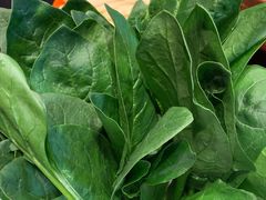 -南门四季铜锅涮肉(大屯·北苑店)