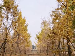 -安仁古镇