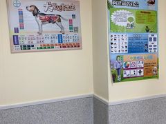 -谐和贝康宠物医院24小时·宠保定点(急重症转诊中心)
