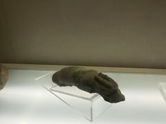 -岳阳市博物馆