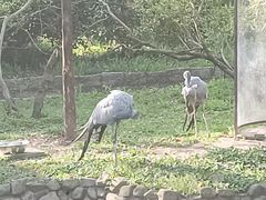 -上海野生动物园