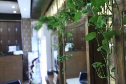 IMG_0201_副本-DRG达人馆造型