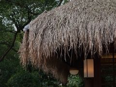 -中国茶叶博物馆(双峰馆区)