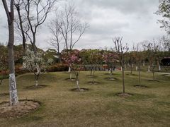 -上海长兴岛郊野公园