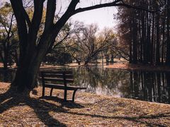 -上海共青森林公园