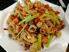 香辣八爪鱼-双海酒店·海鲜家常菜(南戴河店)