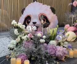 -迈瑞米求婚策划(静安店)