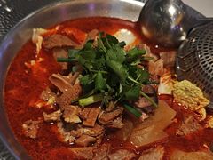 -古乐牛香•鲜牛肉牛杂火锅(系马桩总店)