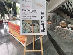 -房山世界地质公园博物馆