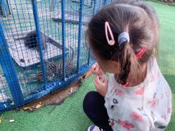 -萌宠亲子动物乐园(槐房万达店)