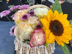 -上海德星奔驰(江杨南路店)