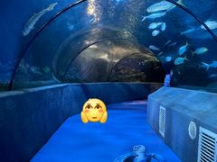 -太平洋海底世界