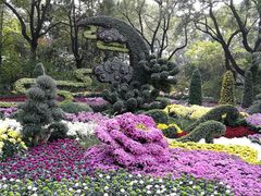 -汇龙潭