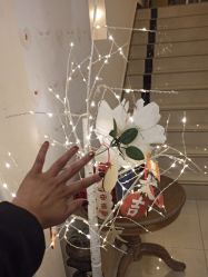 -Fanni美甲美睫皮肤管理