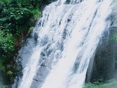 -大奇山国家森林公园