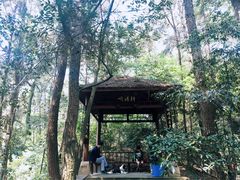 -保利石象湖景区