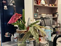 -PAUSE CAFE(南秀村店)