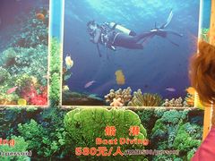 -亚龙湾中心广场