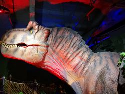 -恐龙探索乐园(磁器口店)