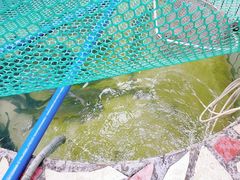 -花悦农庄 | 烧鸡·竹筒饭(沙迳高沙温泉香溪堡店)