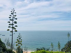 -漳州滨海火山岛自然生态风景区