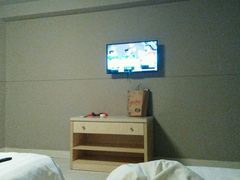 -白玉兰商务酒店(上海陆家嘴滨江店)