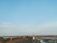 -南汇嘴观海公园