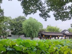 -丝绸小镇荻港古村