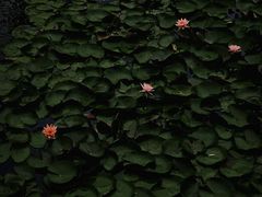-状元人家·公园别墅衡东土菜(溪悦荟店)