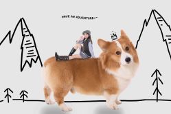 -花开映像儿童摄影