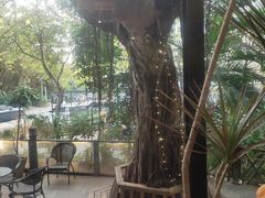 -樾餐厅泰式海鲜火锅(民歌湖店)