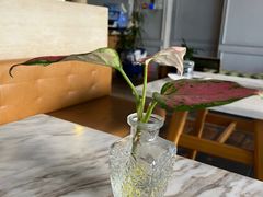 -the rug 飞毯 (朝阳公园店)
