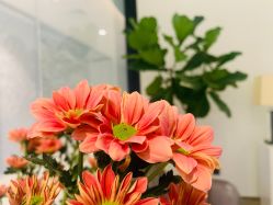 -LB·海菲秀牛奶光官方体验中心